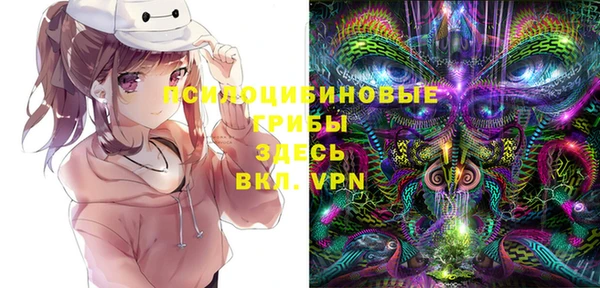молекула духа Верея