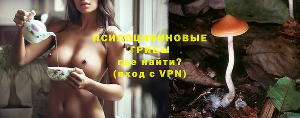 молекула духа Верея