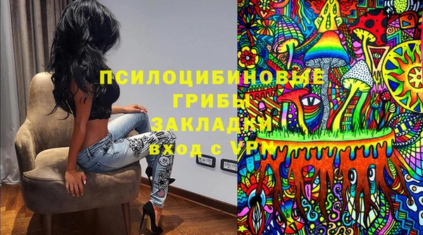 МДПВ Верхний Тагил