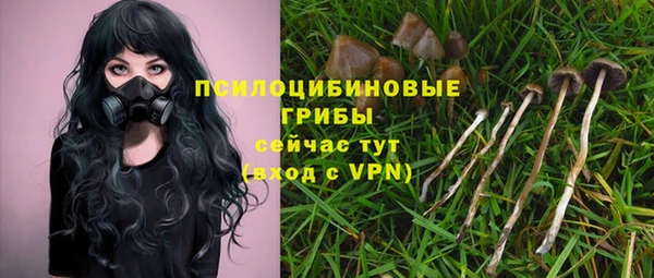 МДПВ Верхний Тагил