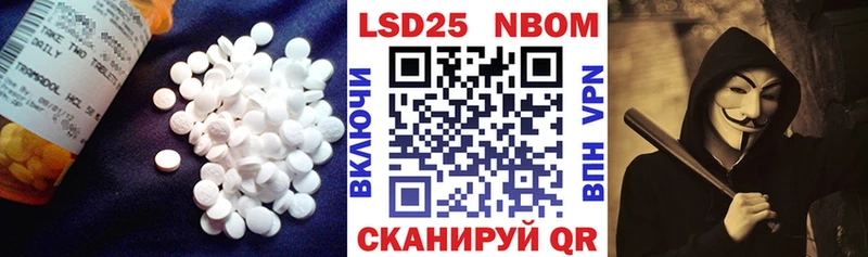 продажа наркотиков  Курган  LSD-25 экстази ecstasy 