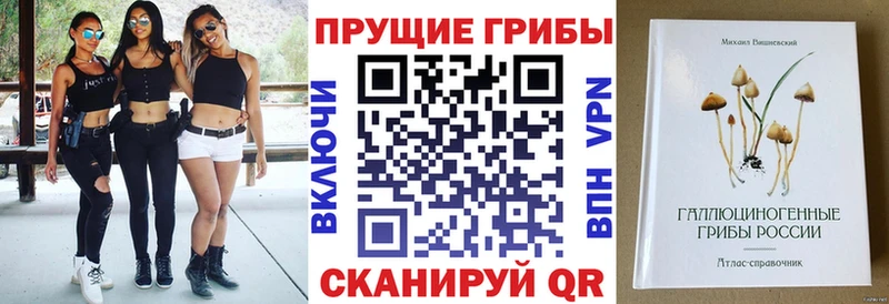 Галлюциногенные грибы Psilocybine cubensis  закладки  Курган 